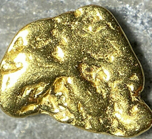 Gold Nuggets